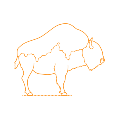Animals Bovines Ancient Bison Line Art Svg Vector, Free Vectors File